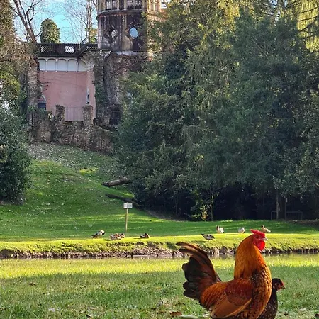 Appartamento Casa Anì Mirano